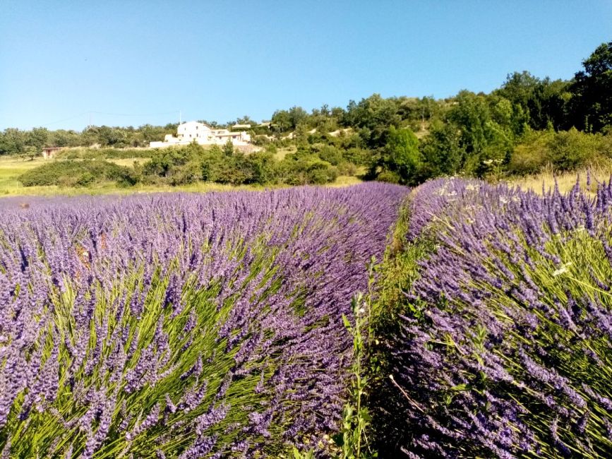 La Melette, gîtes entre Provence et Luberon