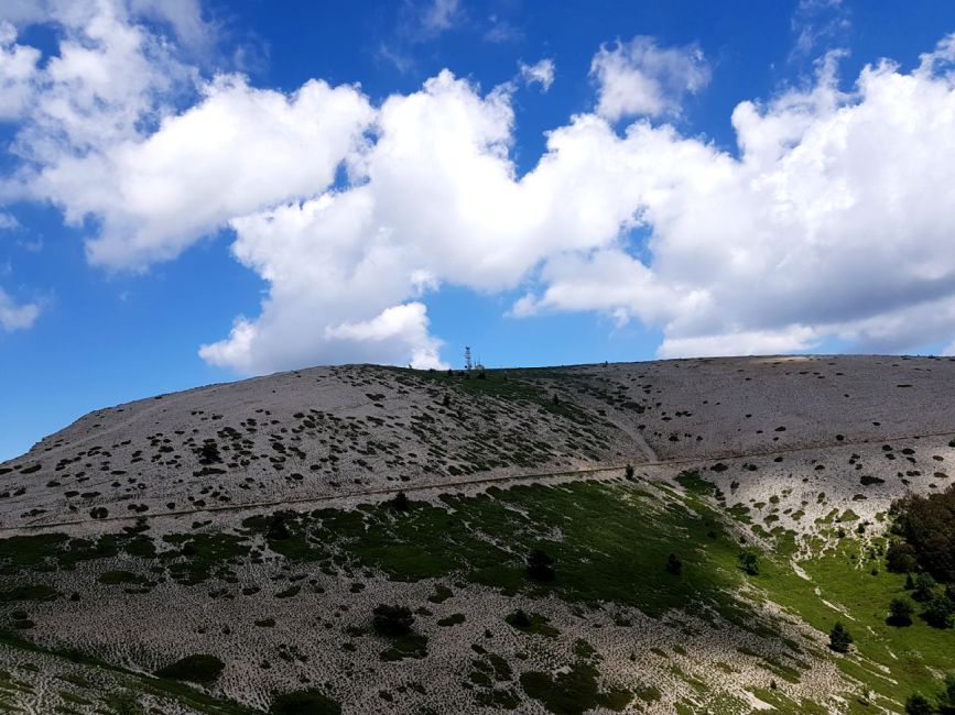 Montagne de Lure, à 1825 m d'altitude