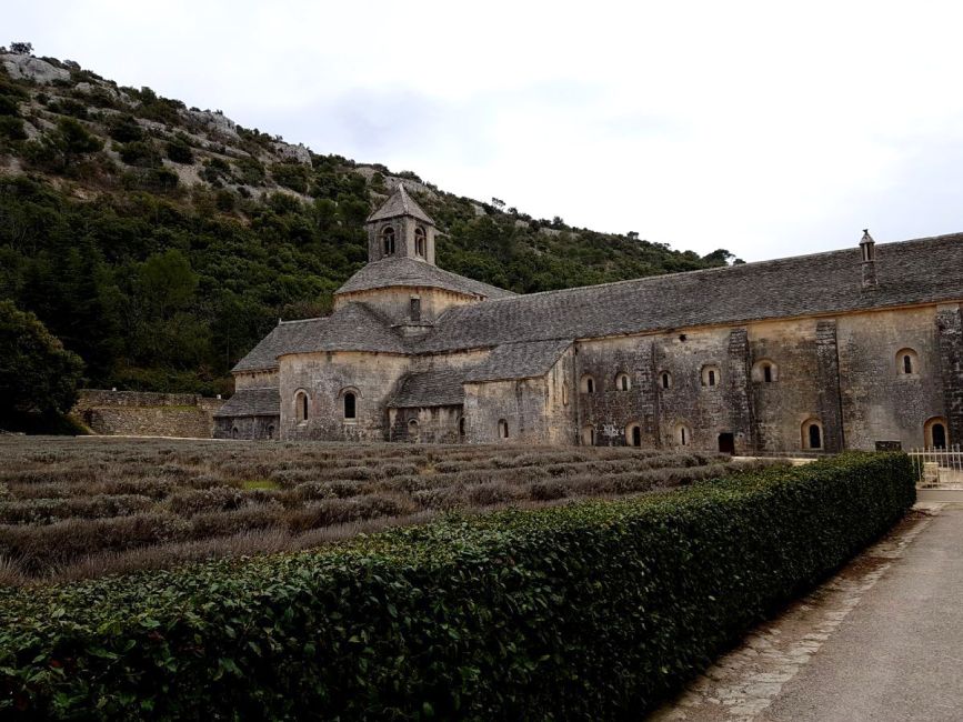 L'abbaye de Senanque, un monastère cistercien